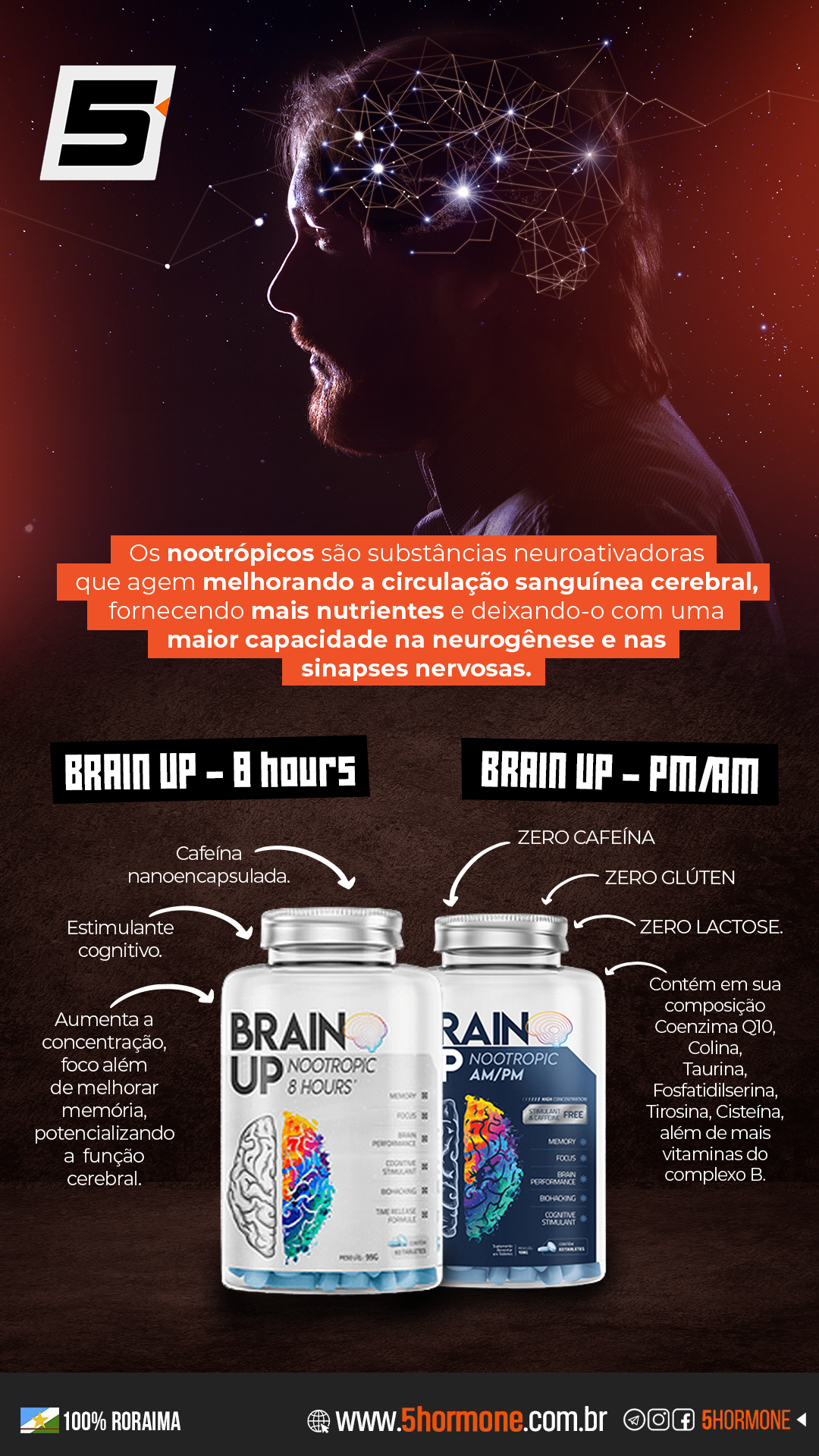 Nootrópico brain up - 60 tabletes - True Source