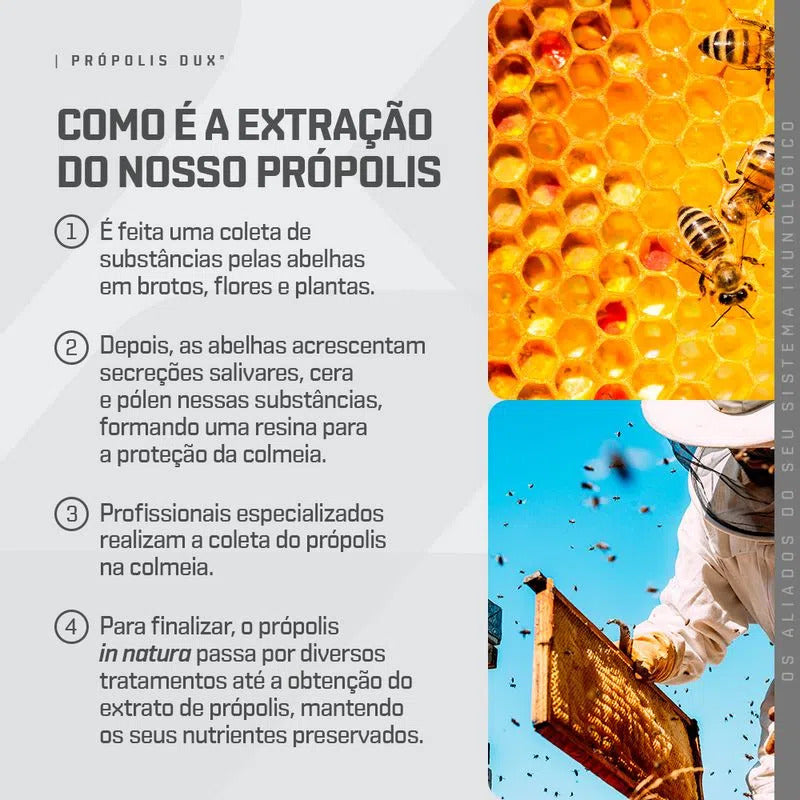 Própolis com Alho - Pote 60 Cápsulas